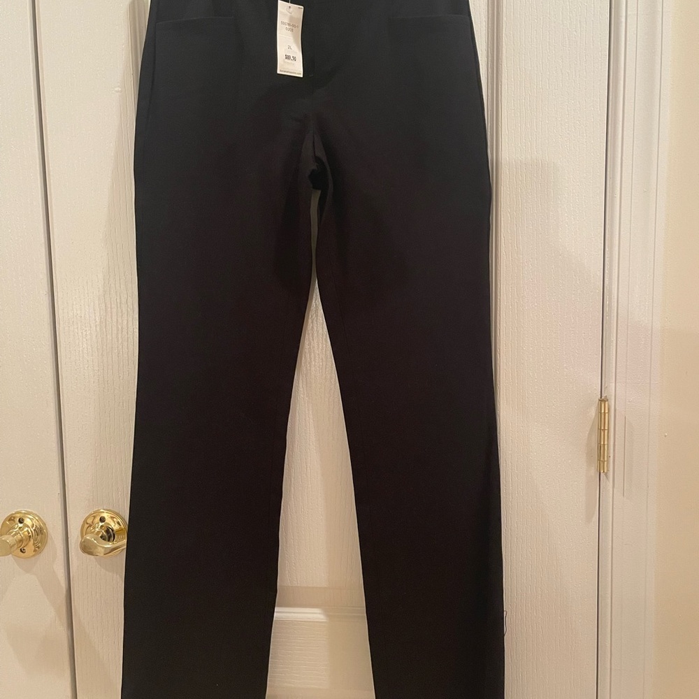 NWT Banana Republic Sloan Fit Pants Size 2L